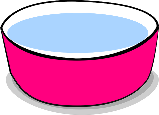 Image of a dog bowl