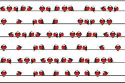 reSolve: Skip counting – how many birds? Image