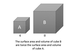 Transformation: Year 9 – planning tool Image
