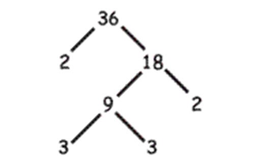 How many factors? Image