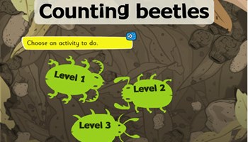 Counting beetles Image