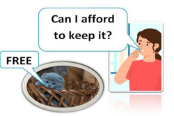 Mathematical modelling: Year 6 – planning tool Image