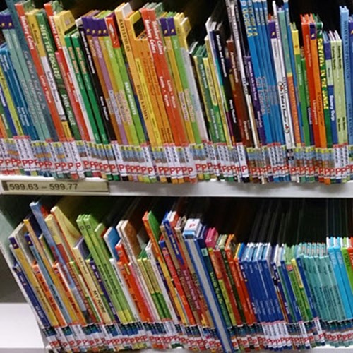 Photo of books lined up on a library shelf