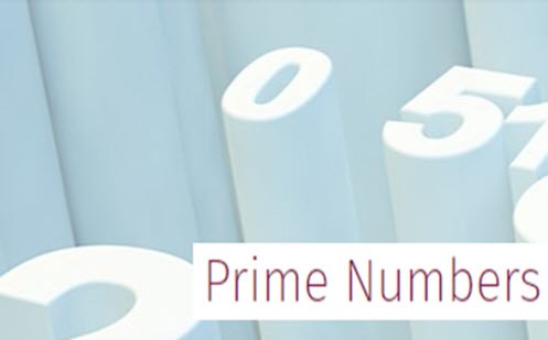 Primes and emirps Image