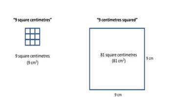 Fencing the yard  Image