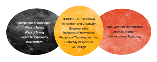 Third Cultural Space diagram