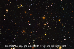 Estimating and rounding decimals Image